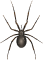 overig