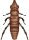 vlo